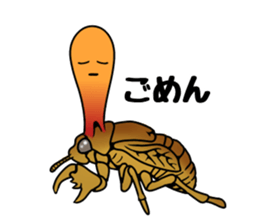 Trembling cicada - Cordyceps sinensis - sticker #10878322