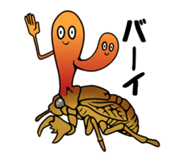 Trembling cicada - Cordyceps sinensis - sticker #10878331
