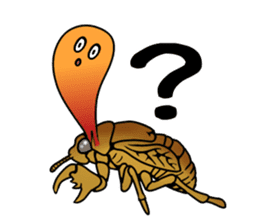 Trembling cicada - Cordyceps sinensis - sticker #10878332