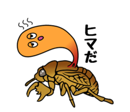 Trembling cicada - Cordyceps sinensis - sticker #10878335