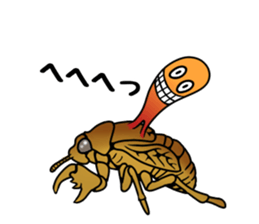 Trembling cicada - Cordyceps sinensis - sticker #10878337