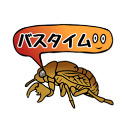 Trembling cicada - Cordyceps sinensis - sticker #10878338