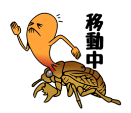 Trembling cicada - Cordyceps sinensis - sticker #10878342