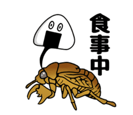 Trembling cicada - Cordyceps sinensis - sticker #10878348