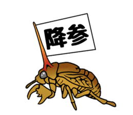 Trembling cicada - Cordyceps sinensis - sticker #10878349