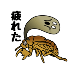 Trembling cicada - Cordyceps sinensis - sticker #10878350