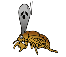 Trembling cicada - Cordyceps sinensis - sticker #10878352