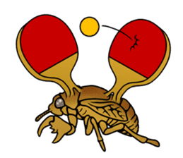 Trembling cicada - Cordyceps sinensis - sticker #10878353