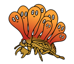 Trembling cicada - Cordyceps sinensis - sticker #10878356