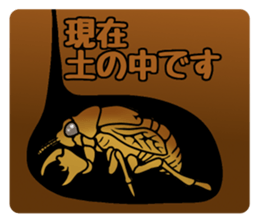 Trembling cicada - Cordyceps sinensis - sticker #10878359
