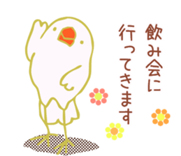 Drunken white Java sparrows sticker sticker #10878402