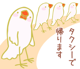 Drunken white Java sparrows sticker sticker #10878423
