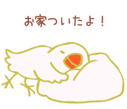 Drunken white Java sparrows sticker sticker #10878426