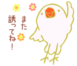 Drunken white Java sparrows sticker sticker #10878434