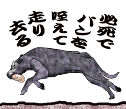 Irish wolfhound sticker #10879251