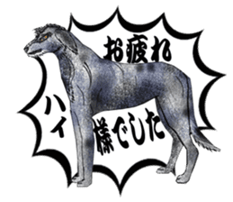 Irish wolfhound sticker #10879259