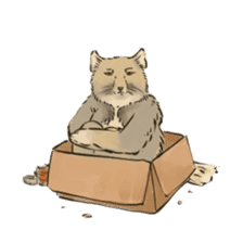 Tibetan Sand Fox of a straight face sticker #10883967