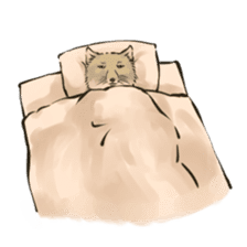 Tibetan Sand Fox of a straight face sticker #10883970