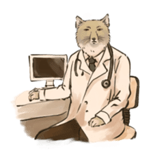 Tibetan Sand Fox of a straight face sticker #10883971