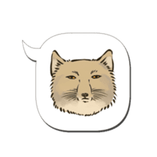 Tibetan Sand Fox of a straight face sticker #10883979