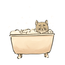 Tibetan Sand Fox of a straight face sticker #10883982