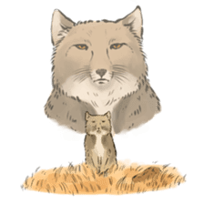 Tibetan Sand Fox of a straight face sticker #10883994