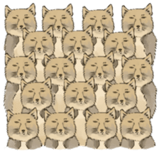 Tibetan Sand Fox of a straight face sticker #10883999