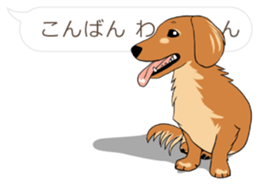 Hukidashi Dachshunds vol.2 sticker #10885241