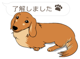 Hukidashi Dachshunds vol.2 sticker #10885251
