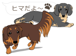 Hukidashi Dachshunds vol.2 sticker #10885254