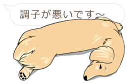 Hukidashi Dachshunds vol.2 sticker #10885256