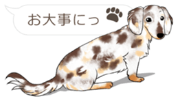 Hukidashi Dachshunds vol.2 sticker #10885257
