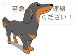 Hukidashi Dachshunds vol.2 sticker #10885260