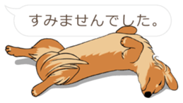 Hukidashi Dachshunds vol.2 sticker #10885263