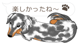 Hukidashi Dachshunds vol.2 sticker #10885264