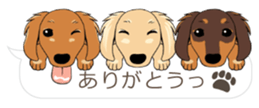 Hukidashi Dachshunds vol.2 sticker #10885265
