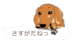 Hukidashi Dachshunds vol.2 sticker #10885267