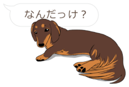 Hukidashi Dachshunds vol.2 sticker #10885271