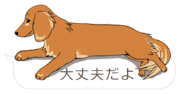 Hukidashi Dachshunds vol.2 sticker #10885272