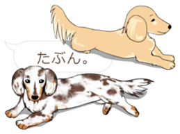 Hukidashi Dachshunds vol.2 sticker #10885273