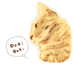 Oh my cat's!2 sticker #10887405