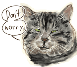 Oh my cat's!2 sticker #10887411