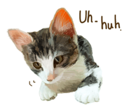 Oh my cat's!2 sticker #10887417