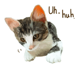 Oh my cat's!2 sticker #10887417