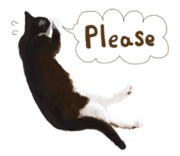 Oh my cat's!2 sticker #10887423