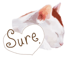 Oh my cat's!2 sticker #10887433