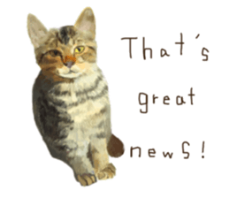 Oh my cat's!2 sticker #10887436