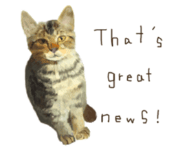 Oh my cat's!2 sticker #10887436