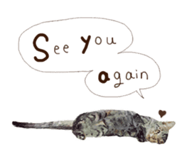 Oh my cat's!2 sticker #10887437