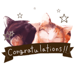 Oh my cat's!2 sticker #10887439